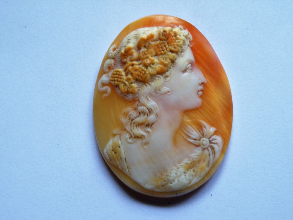a good victorian unmounted shell cameo