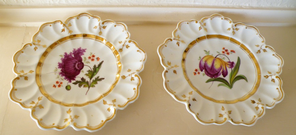 a fine pair of 19th century porcelain botanical plates